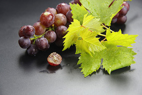 ��Ҷ������