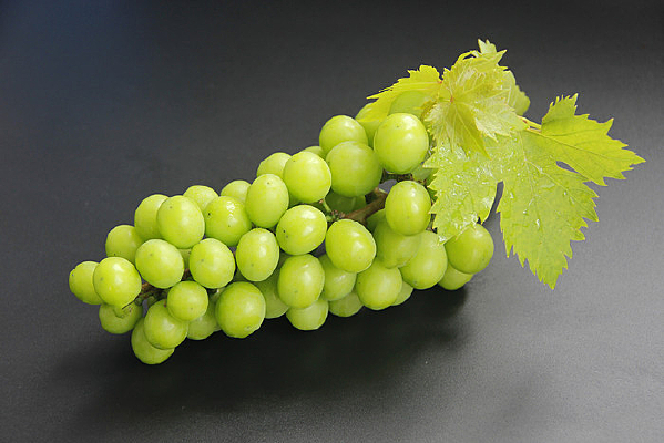 �����Ѻڵ�