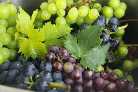 �ʹ�����