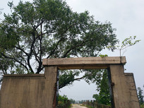 ���������˼�