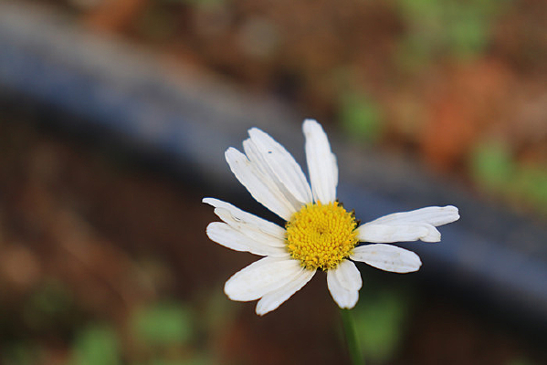 һ�����ջ�