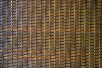  ��֯����