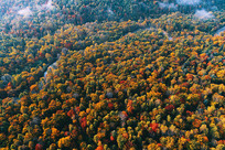 ����ɽ�����ﾰ