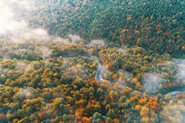 ����ɽ�＾ɭ��С�ӳ��� 