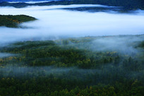 ���˰����ֺ������羰