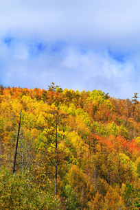 ���˰����＾�����