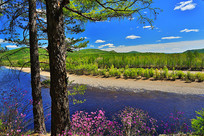 ���˰���ɭ�ֺӴ�ɫ