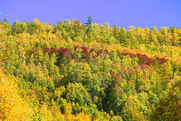 ���˰���ɽ���ﾰ