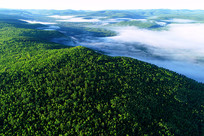 ���˰���ɽ���ƺ�