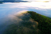 ���˰���ԭʼɭ������