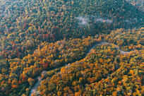 ���Ĳ��ֺ����ﾰ 