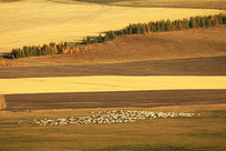 ���ױ����＾���������Ⱥ