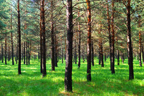 ���ױ���ɳ��������