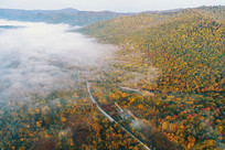 ���ֳ���ɽ�����＾��������