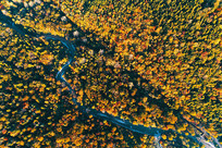 ����ʡ����ɽ�ֺ���ɫ�����ģ�