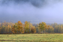 �������ֲ�������