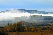 �������ֲ�������