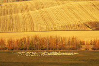 �������������Ⱥ