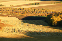 ������Ұ����