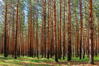 ï�ܵ�ɳ������������ 