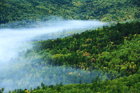 ï���ֺ�����