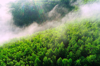 ï����ɫ�ֺ�����