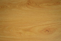 ľ������