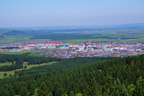 ���ɹź컨����С��