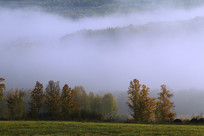 �＾ɭ������