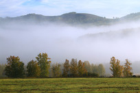 ɽ�ֽ��ﳿ���羰