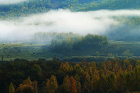 ɽ���ﾰ����