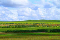 ���ױ���������԰��� 