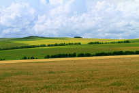 ���ױ�����԰���