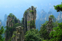 �����żҽ��ҷ�����