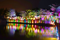 �����޺�ƺ���ҹ��