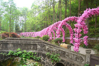 ���ų���