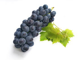 ��̬��԰�ĺ�