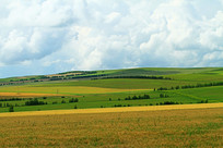 ��Ұ����