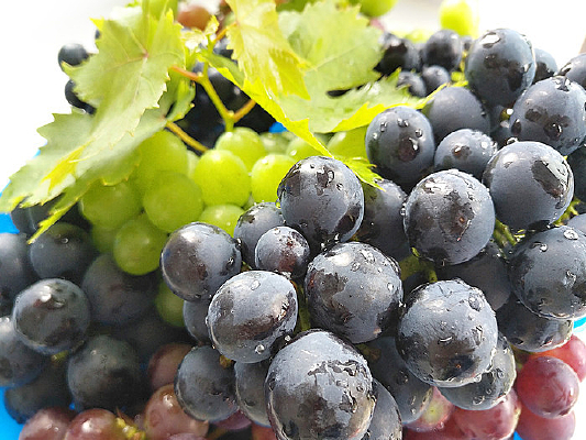 ����������