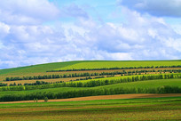 ԭҰ��Ұ����