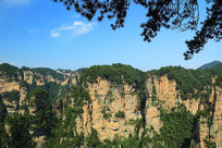 �żҽ�ɽ�ַ��