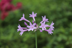 �����Ͻ���