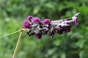 ˮ����ʵ��