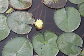 δ���ŵ�˯��