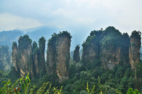 �����żҽ�Ⱥ�徰��