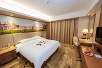 �Ƶ�鷿����