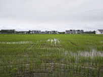 ��Ұ������