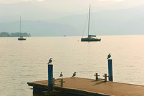 ��������ˮ���˶�ѧУѵ����ͷ