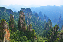 �żҽ�羰�����ֵ�ò����