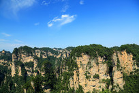 �żҽ����ɭ�ֹ�԰ʯ���ò